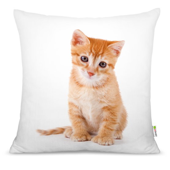 Coussin CHATON 04