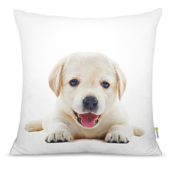 Coussin CHIOT 02