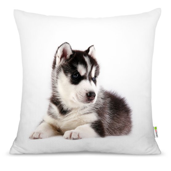 Coussin CHIOT 03