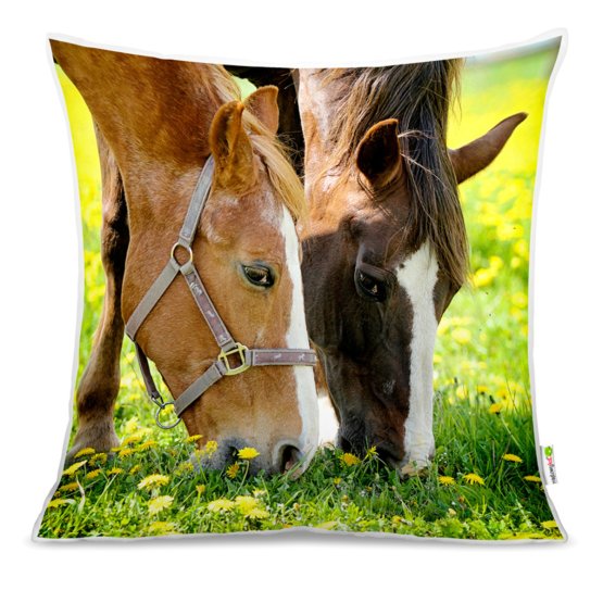 Coussin CHEVAUX 01