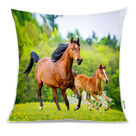 Coussin CHEVAUX 02