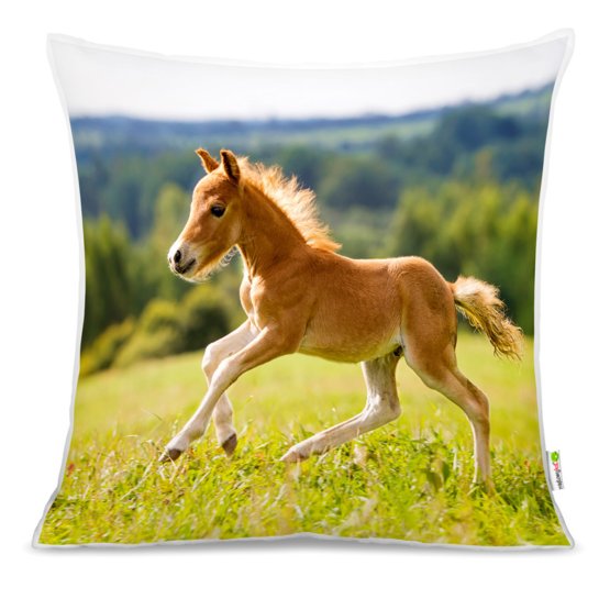 Coussin CHEVAUX 03