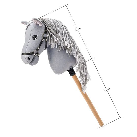 Apollo, cheval de loisir premium