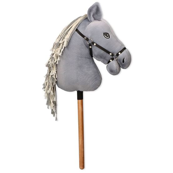 Apollo, cheval de loisir premium