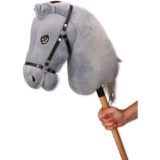 Apollo, cheval de loisir premium