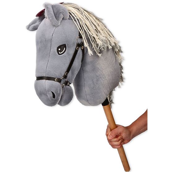 Apollo, cheval de loisir premium