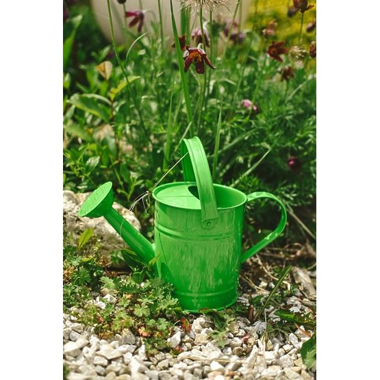 Arrosoir vert