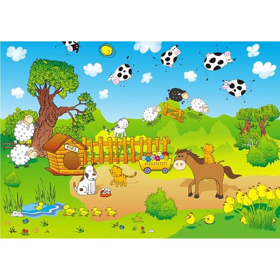 BAZAR Cette photo ferme en dimension 6,12m2