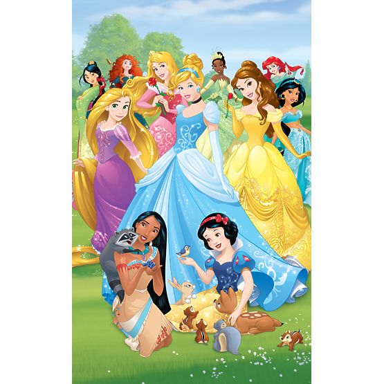 Bébé 6 pièce fond d’écran Princess pour prairie