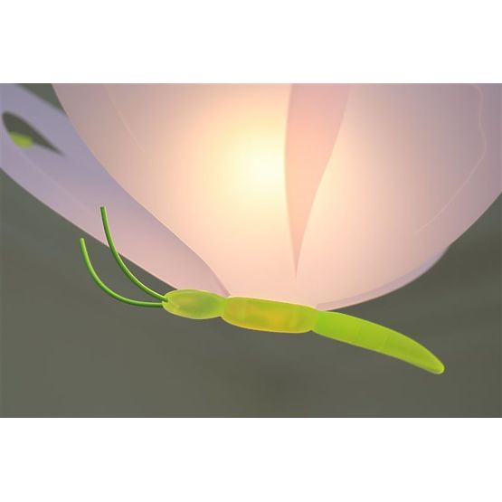 Bébé lampe papillon - divers colorations