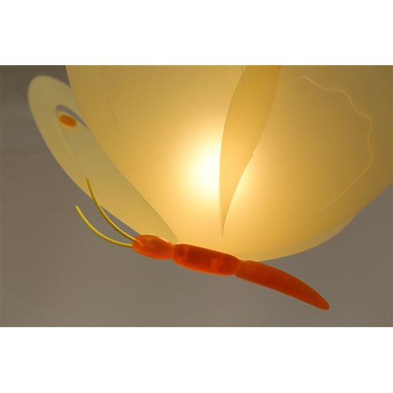 Bébé lampe papillon - divers colorations