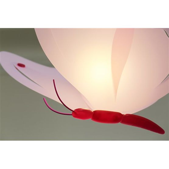 Bébé lampe papillon - divers colorations