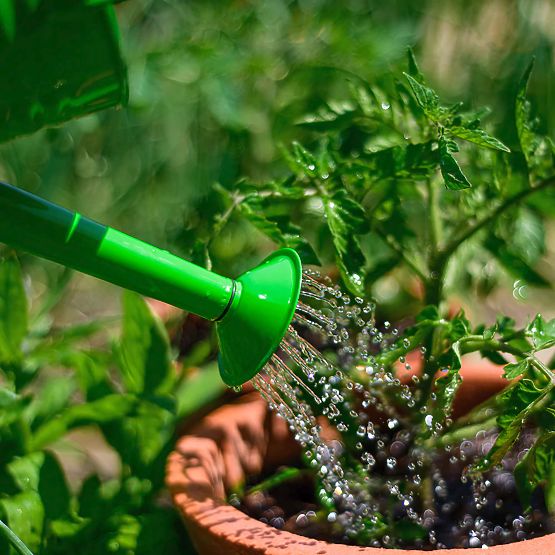 Bigjigs Toys Bouilloire de jardin verte