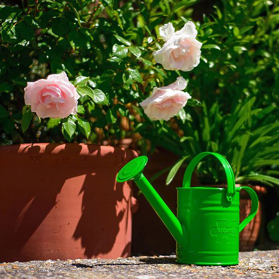 Bigjigs Toys Bouilloire de jardin verte