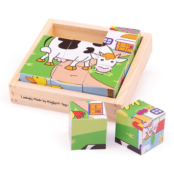 Bigjigs Toys Cubes d'images Animaux 9 cubes