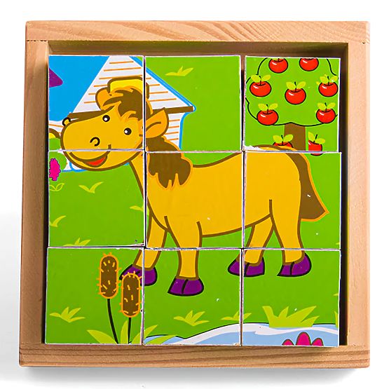 Bigjigs Toys Cubes d'images Animaux 9 cubes