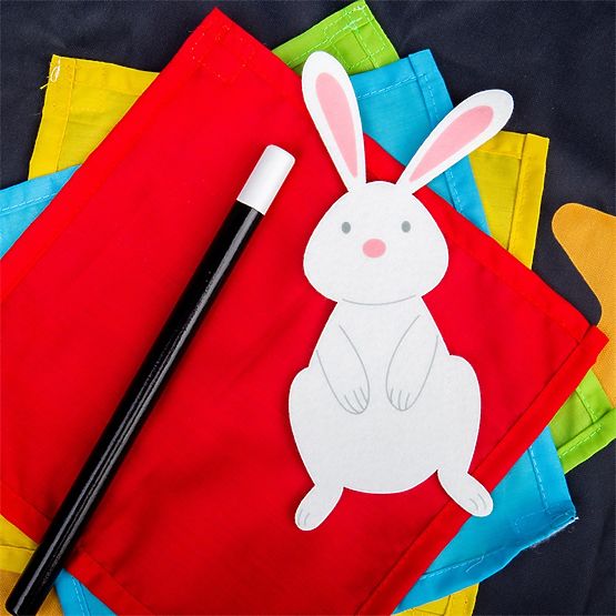 Bigjigs Toys Ensemble de Magicien