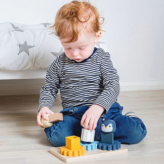 Bigjigs Toys Planche Motrice Arctique