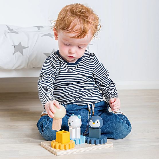 Bigjigs Toys Planche Motrice Arctique