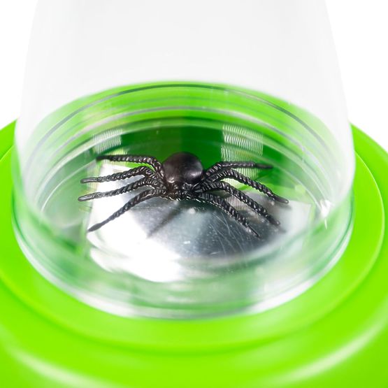 Bigjigs Toys Judas grossissant pour observer les insectes