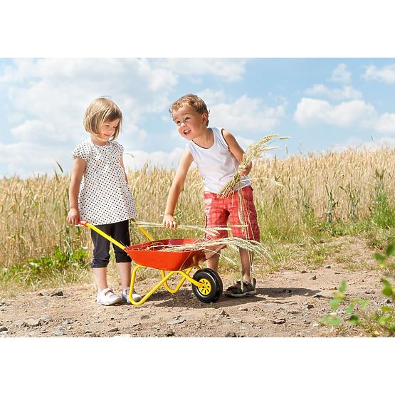 Brouette en métal - rouge rollytoys