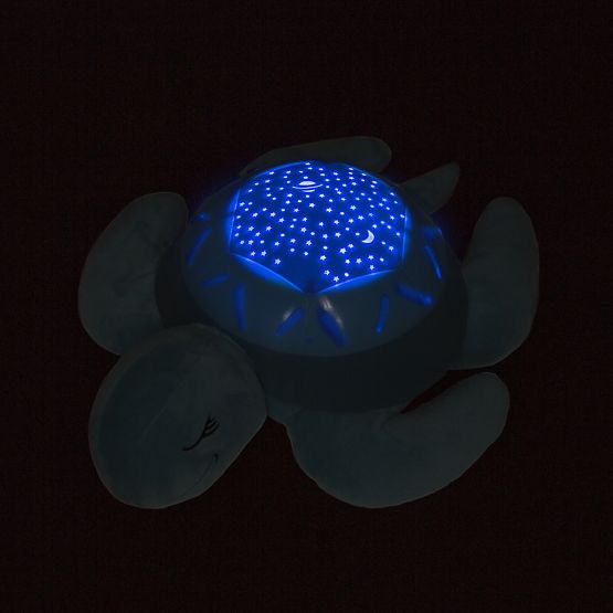 Buddy pour à dormir - une tortue
