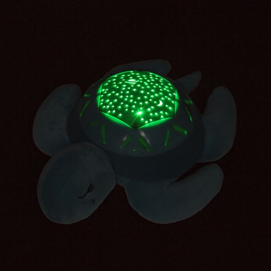 Buddy pour à dormir - une tortue