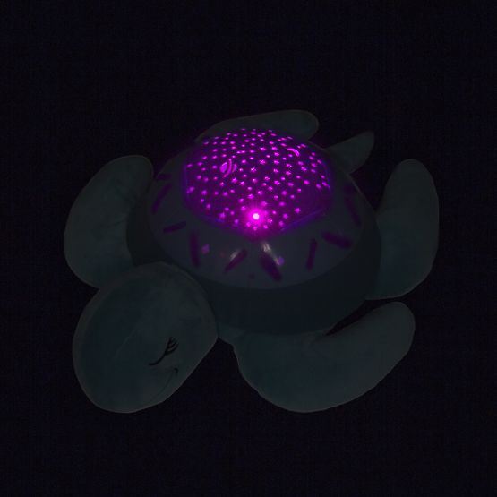 Buddy pour à dormir - une tortue