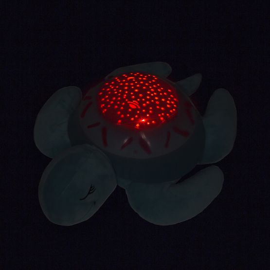 Buddy pour à dormir - une tortue