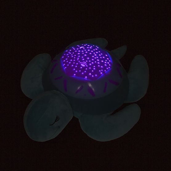 Buddy pour à dormir - une tortue