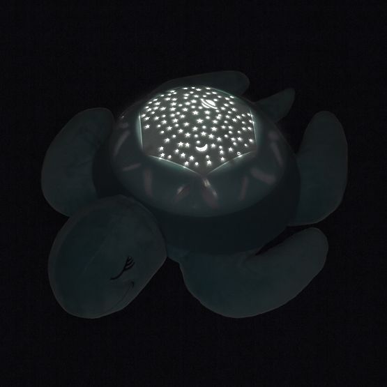 Buddy pour à dormir - une tortue