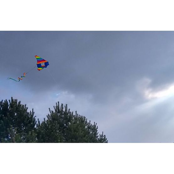 Dragon volant - arc-en-ciel