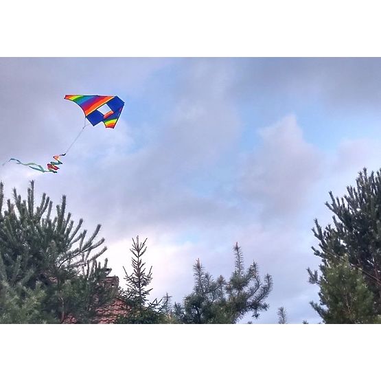 Dragon volant - arc-en-ciel