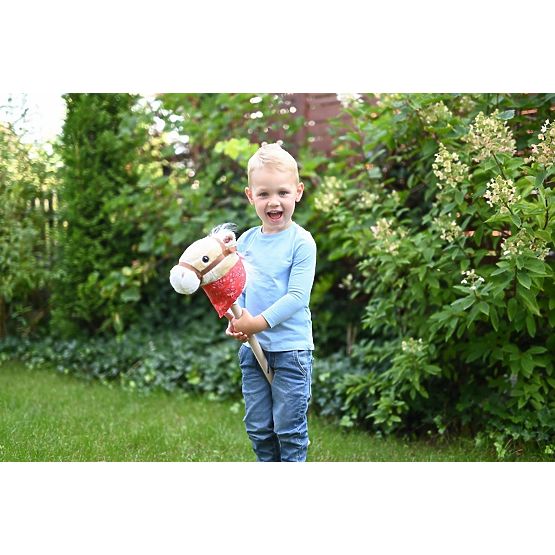 Cheval bâton Achał Hobby Horse