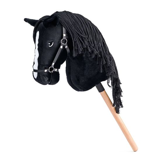 Cortez, cheval de loisir premium