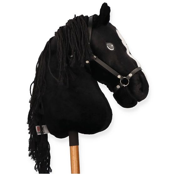 Cortez, cheval de loisir premium