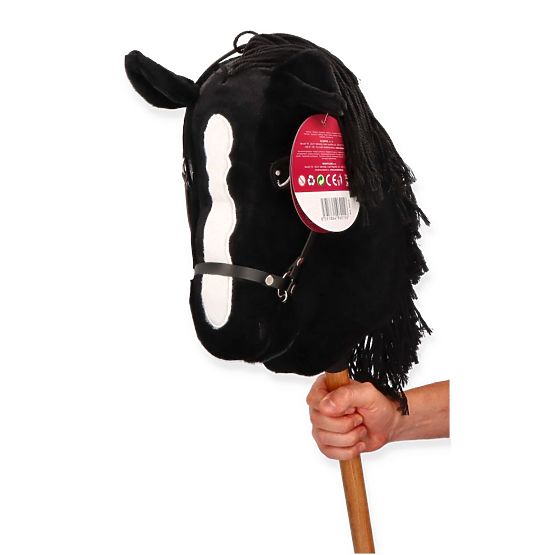 Cortez, cheval de loisir premium