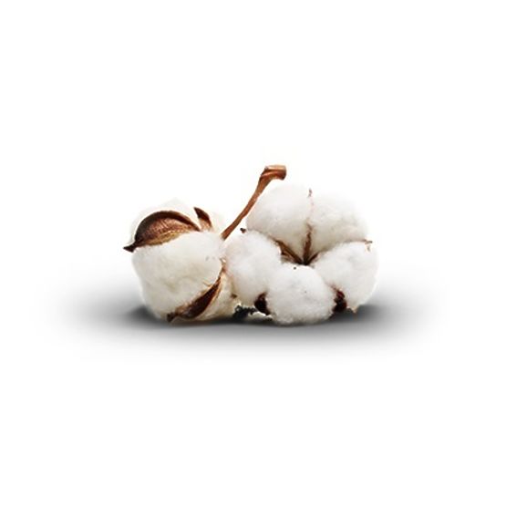 Couverture Ecotton - 160x200 cm
