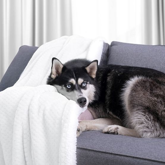 Couverture SHLEEPY blanche avec relief jacquard style classique 220x240