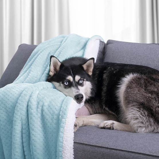 Couverture SHLEEPY bleue avec motif jacquard style classique 130x180