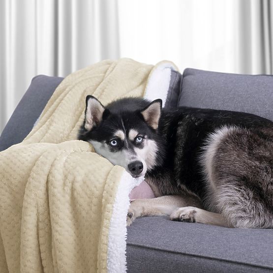 Couverture SHLEEPY couleur beige avec motif jacquard style classique 220x240