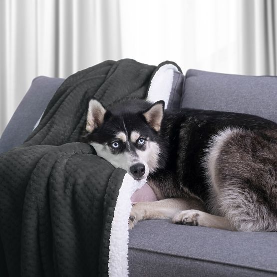 Couverture SHLEEPY couleur graphite jacquard classique 170x210