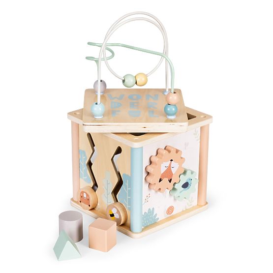 Cube éducative en bois avec formes ECOTOYS