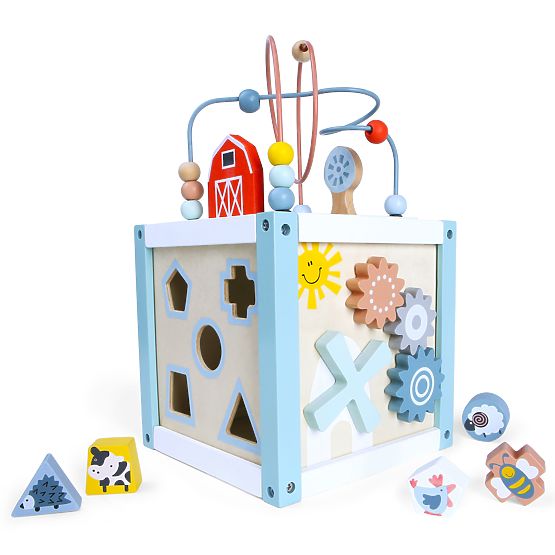 Cube éducative en bois trieuse + cubes ECOTOYS
