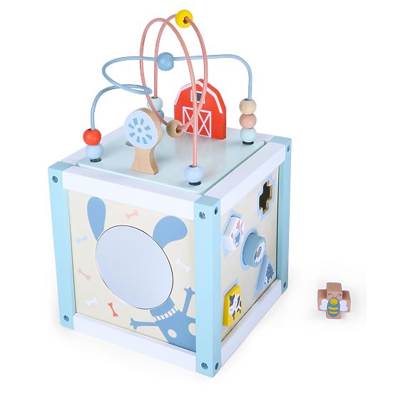 Cube éducative en bois trieuse + cubes ECOTOYS
