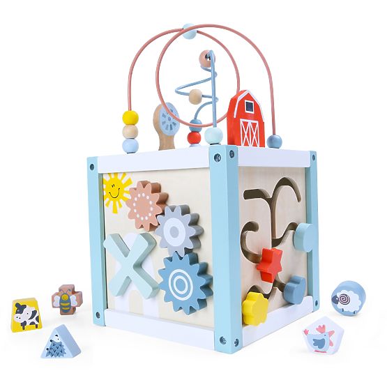 Cube éducative en bois trieuse + cubes ECOTOYS