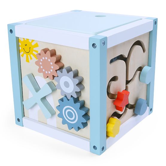 Cube éducative en bois trieuse + cubes ECOTOYS