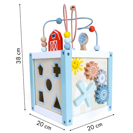Cube éducative en bois trieuse + cubes ECOTOYS