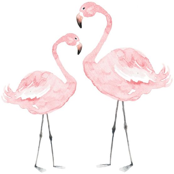 Décorations pour mur DEKORNIK - Flamingos roses