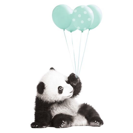 Décorations pour mur DEKORNIK - panda avec menthe ballons